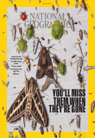 National Geographic Interactive 05.2020.pdf